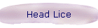 Head Lice